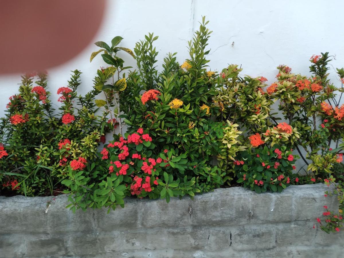Pousada Terra De Minas Natal Luaran gambar
