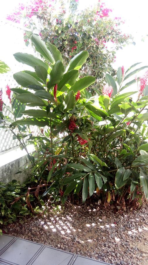 Pousada Terra De Minas Natal Luaran gambar